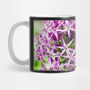 Star of Persia flower Mug